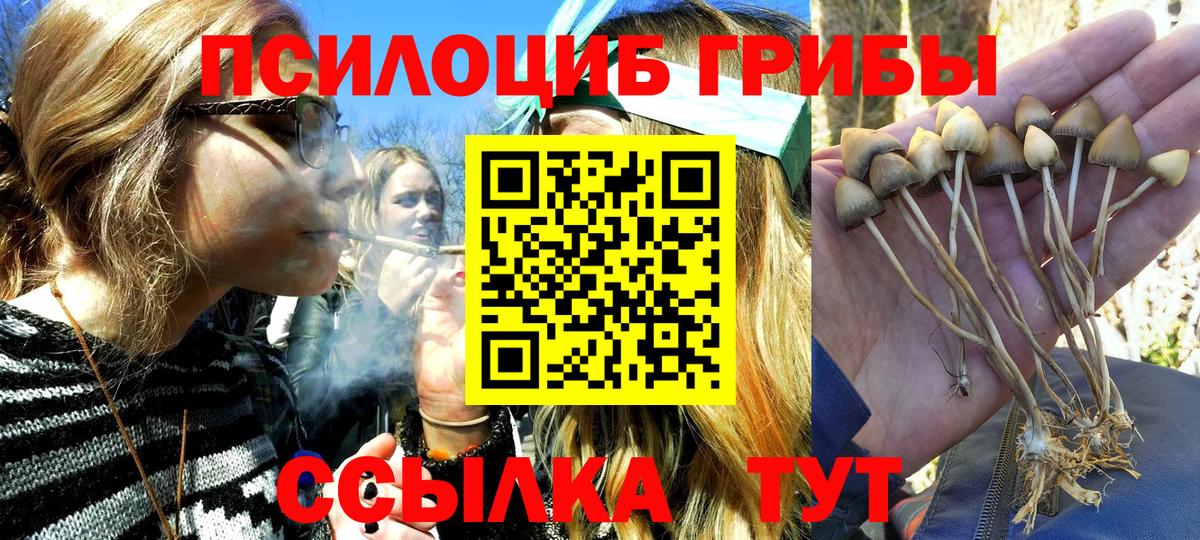 Псилоцибиновые грибы мухоморы  Вход с VPN  Галлюциногенные грибы GOLDEN TEACHER  Волоколамск 