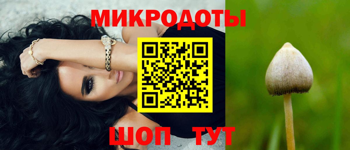 Галлюциногенные грибы мицелий Волоколамск